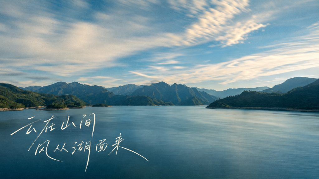 数据分析板块正式开放